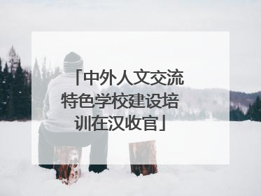 中外人文交流特色学校建设培训在汉收官